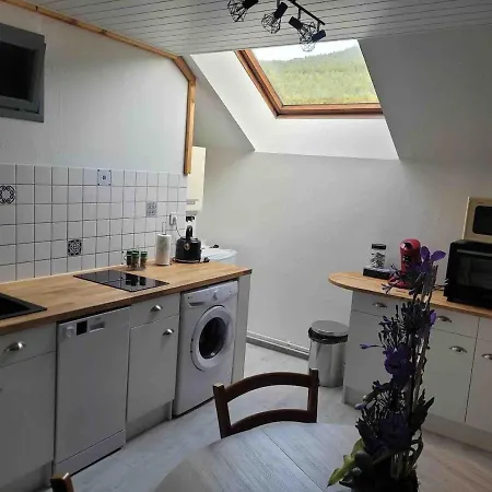 Apartment Cosy Renove Au Calme Cornimont