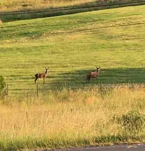 Cosy Renove Au Calme *
