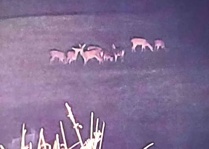 Cosy Renove Au Calme